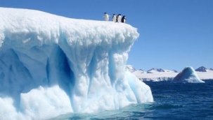 Küresel ısınma: Antarktika'da buzulları eritiyor
