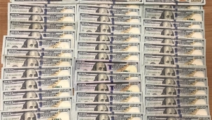 Sahte ABD doları operasyonu:1 tutuklama