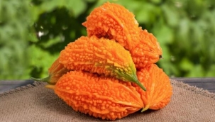 Şifa deposu kudret narının faydaları nelerdir?