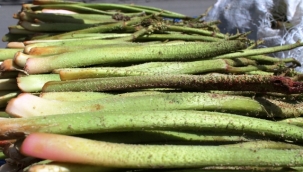 Tam mevsimi: Işkın nedir, faydaları nelerdir?