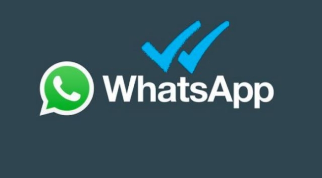 WhatsApp'ta mavi tık olmadan mesaj okumanın 4 yolu