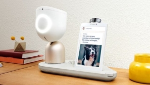 ABD, yalnız yaşayan yaşlılara robot dağıtacak