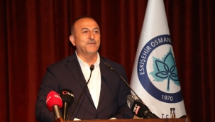 Bakan Çavuşoğlu: "Biz sizin kaygılarınızı anlıyoruz, siz de müttefiklerin kaygılarını anlamanız lazım"