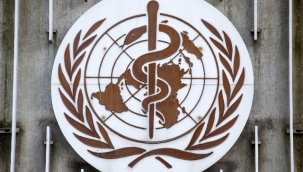 Dünya Sağlık Örgütü (DSÖ): En fazla maymun çiçeği vakası Avrupa'da