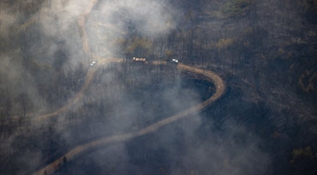 Marmaris'in en genç ormanı yanıyor