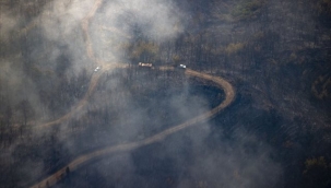 Marmaris'in en genç ormanı yanıyor