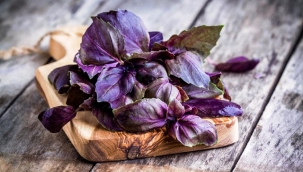 Reyhan nedir? Faydaları nelerdir?