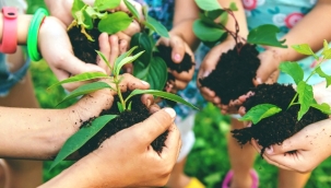 Tatilde dost olacağınız bir ağacınız olsun