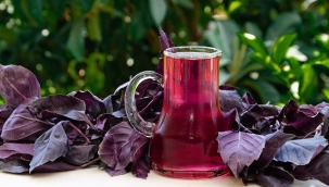 Reyhanın faydaları