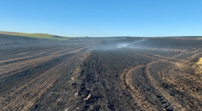 Tekirdağ'da bin dönüm buğday tarlası yandı