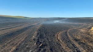 Tekirdağ'da bin dönüm buğday tarlası yandı