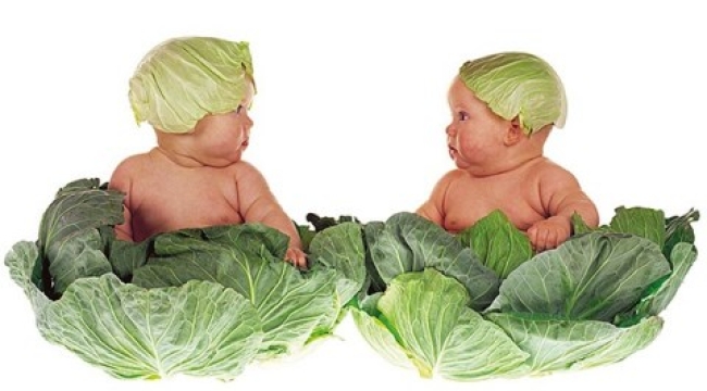 Türkiye'de en fazla ikiz ve üçüzün doğduğu iller belli oldu: Şanlıurfa ilk sırada