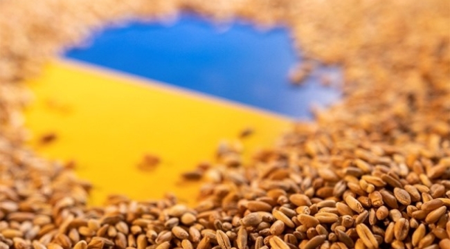 Ukrayna, tahıl anlaşmasının kendine ait kısmını imzaladı