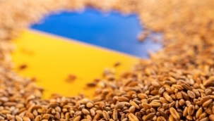 Ukrayna, tahıl anlaşmasının kendine ait kısmını imzaladı