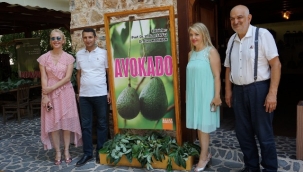 AKADEMİSYENLER, AVOKADONUN KİTABINI YAZDI!