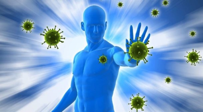 Bağışıklık sisteminizi güçlendirecek şifalı otlar!