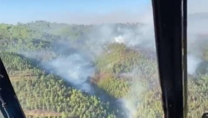 Alanya'da orman yangını