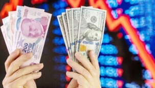 Mevduat oranları: TL'de Bitlis, dövizde Aksaray zirvede