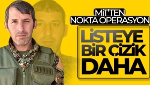 MİT, PKK'nın sözde sorumlusu Mehmet Akyol'u etkisiz hale getirdi