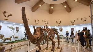 Türkiye'deki müze sayısı 519'a yükseldi