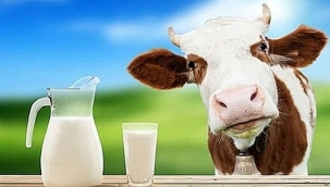 Ulusal Süt Konseyi, çiğ süt fiyatını net 7.50 lira olarak belirledi