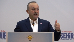 Bakan Çavuşoğlu: 'Biz güçlünün değil haklının yanındayız'