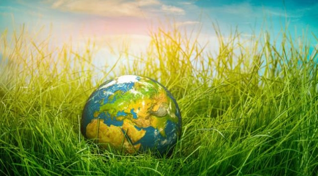 IMF küresel gıda krizinin finansal maliyetlerinin arttığı konusunda uyardı