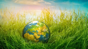 IMF küresel gıda krizinin finansal maliyetlerinin arttığı konusunda uyardı