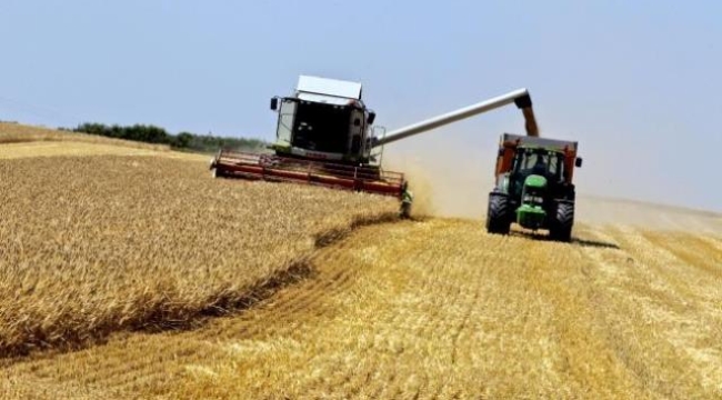 Kremlin: Rusya'nın içinde olmadığı bir tahıl anlaşmasının yürütülmesi mümkün değil