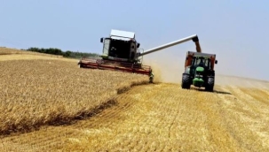 Kremlin: Rusya'nın içinde olmadığı bir tahıl anlaşmasının yürütülmesi mümkün değil