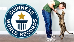 'Yaşayan en uzun evcil kedi' unvanı el değiştirdi