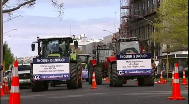 Yeni Zelanda'da hayvancılığa 'gaz çıkarma' vergisi: Protestocu çiftçiler yolları kesti