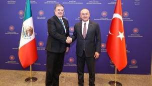 Bakan Çavuşoğlu: 'Türk yüzyılı, Türk baharı başladı'