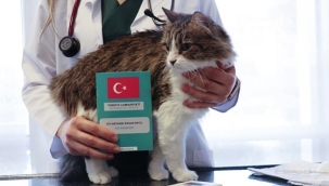 Ev hayvanlarının dijital kimliklendirilmesi için son iki gün