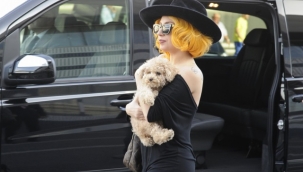 Lady Gaga'nın köpeklerini kaçıran saldırgana 21 yıl hapis cezası