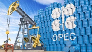 OPEC+ grubu, üretimi günlük 2 milyon varil azaltma kararını sürdürecek