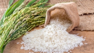 Pirinç ithalatında gümrük vergisi sıfırlandı