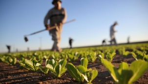Tarımda üretici enflasyonu yine rekor kırdı