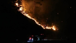 Alanya'daki orman yangını kontrol altına alındı