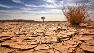 Çiftçilere uyarı: 'Mutlaka kuraklık sigortası yaptırın'