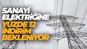 Sanayi elektriğine yüzde 12 indirim bekleniyor
