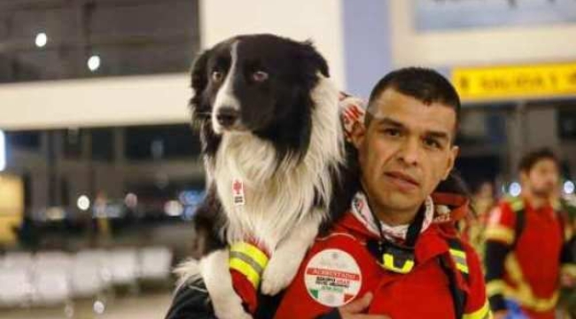 Meksika, meşhur arama kurtarma köpeklerini Türkiye'ye gönderdi