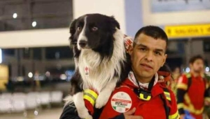 Meksika, meşhur arama kurtarma köpeklerini Türkiye'ye gönderdi