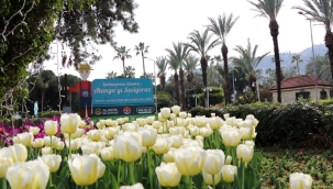 ALANYA LALE, SÜMBÜL VE NERGİSLERLE RENKLENDİ