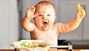 Bebekler nasıl et yemeye alıştırılır?