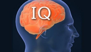İnsanlığın IQ'su düşmeye başladı