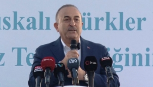 Bakan Çavuşoğlu: 'Türkiye'de bulunan Ahıska Türklerinin hepsine vatandaşlık vereceğiz'