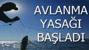 Balık avlama yasağı başladı