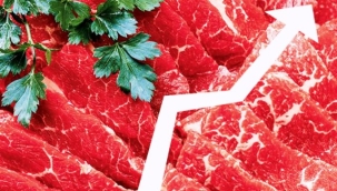 Martta fiyatı en fazla artan 'dana eti', en fazla düşen 'kara yoluyla yolcu taşımacılığı' oldu