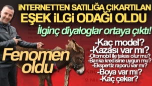 Pendik'te, internetten 7 bin 500 TL'ye satışa çıkarılan eşek ilgi odağı oldu